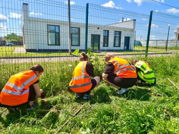 Более 23 тысяч подростков приняли участие во временных работах на лето в Белгородской области
