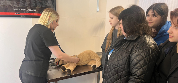 26 Губкинских школьников посетили ветеринарный кабинет «Лапка»в рамках профориентации