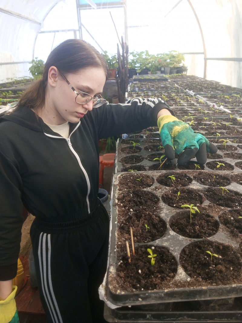 От сокращения до трудоустройства