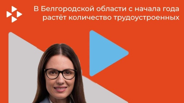 В Белгородской области с начала года растёт количество трудоустроенных